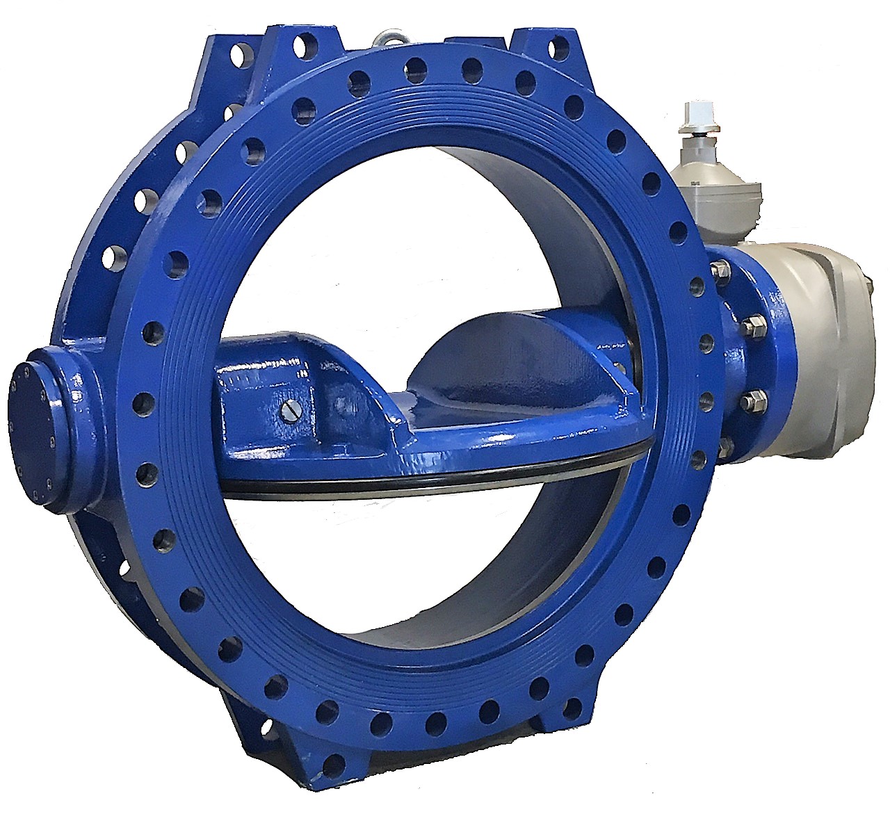 Double Offset Butterfly Valve