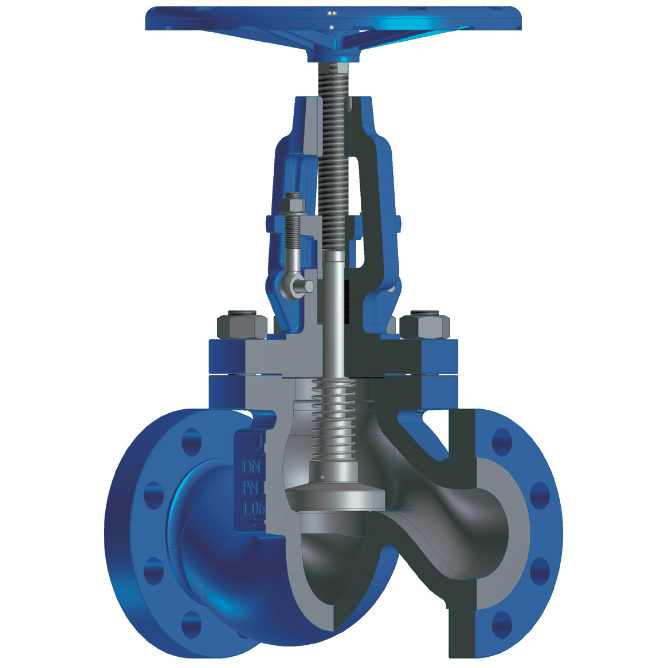 Globe Check Valve