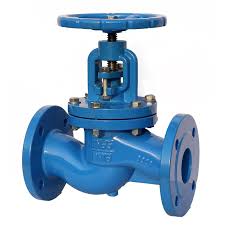 Globe Valve